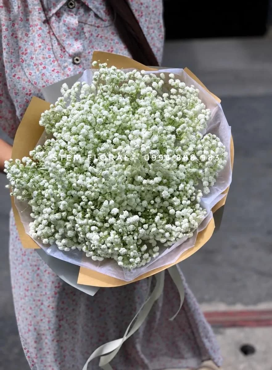 Mây trắng tinh khôi — Những nhánh baby trắng nhỏ tạo thành mặt hoa tròn, gói trong giấy kraft và lớp giấy sáng màu