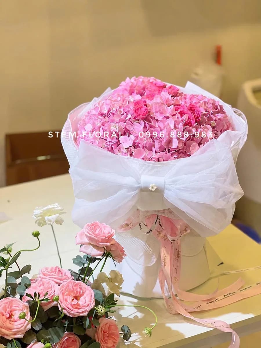 Mây hồng ban mai — Cẩm tú cầu hồng tạo thành cụm hoa đầy trong lớp giấy trắng