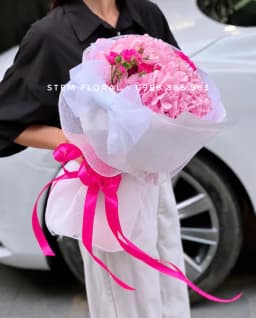 Góc 2 của Mây hồng ban mai — Cẩm tú cầu hồng tạo thành cụm hoa đầy trong lớp giấy trắng