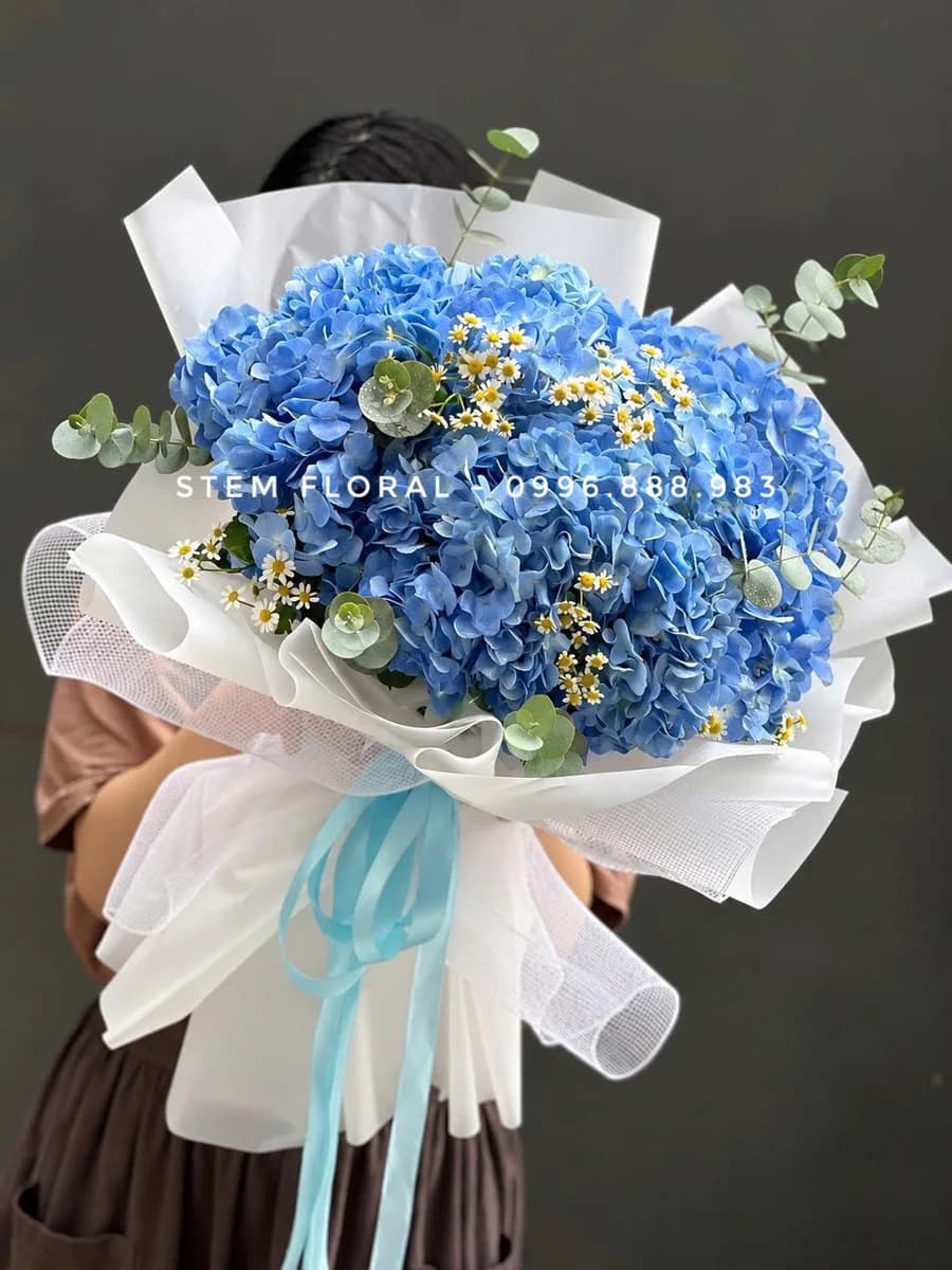 Mây xanh dịu êm — Những cụm cẩm tú cầu xanh được gom đầy ở trung tâm, điểm thêm hoa nhỏ trắng và lá xanh