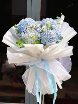 Góc 2 của Mây xanh ngọc ngà — Cẩm tú cầu xanh trắng phối những bông trắng nhỏ và lá xanh trong giấy sáng màu