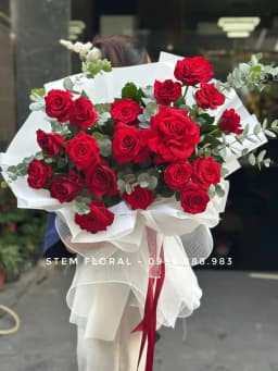 Góc 1 của Hồng đỏ yêu thương — Những bông hồng đỏ nổi bật giữa lá xanh và lớp giấy trắng gấp rộng