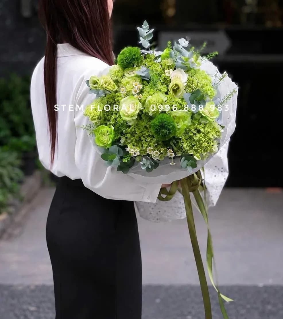 Hồng kem thanh nhã — Hoa hồng kem nằm giữa những cụm cẩm tú cầu xanh non và lá tròn xanh bạc