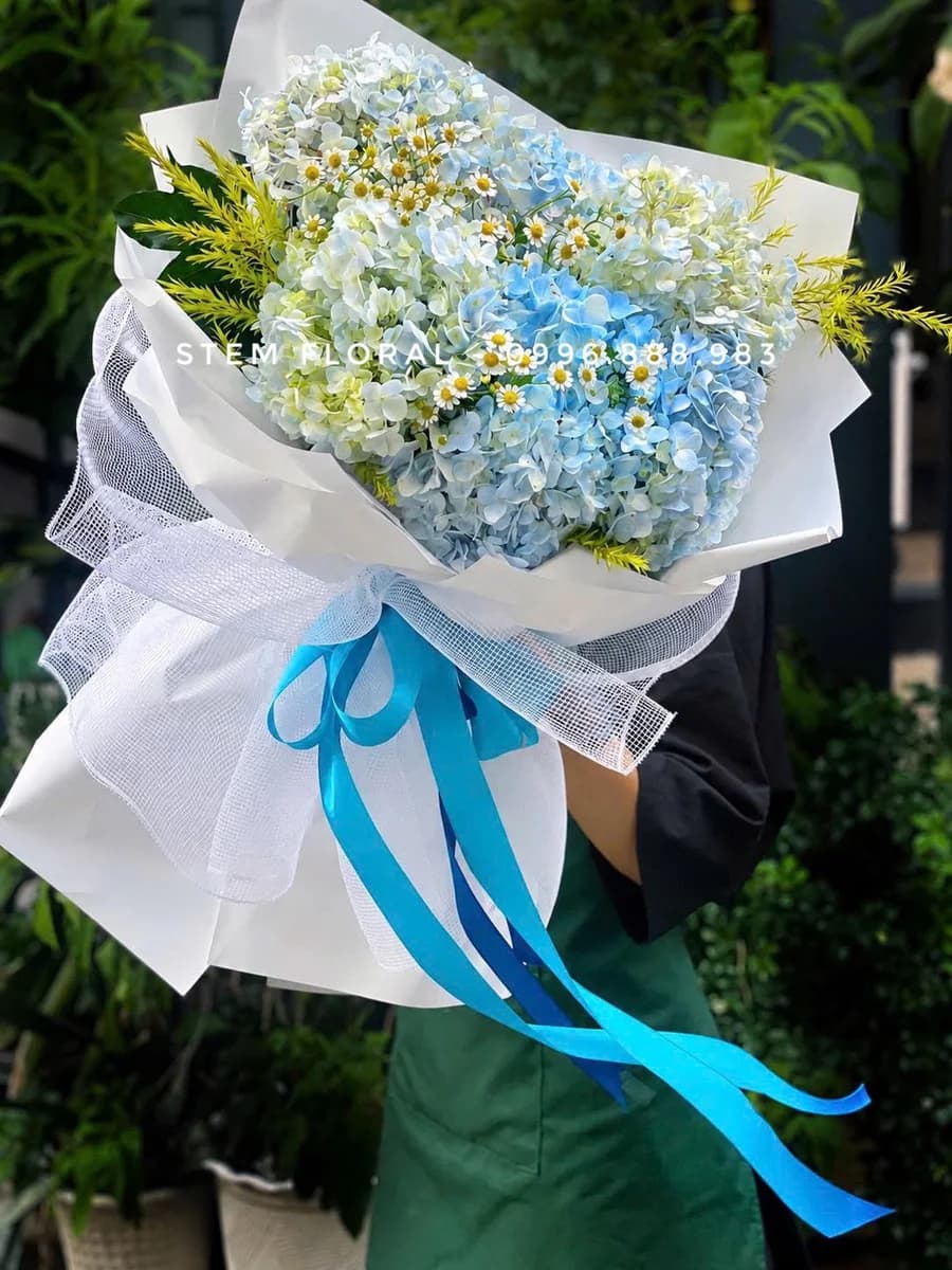 Mây xanh và trắng — Cẩm tú cầu xanh nhạt xen những bông trắng và xanh non, được bao quanh bởi giấy trắng rộng