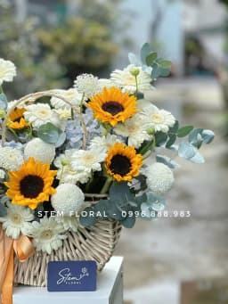 Góc 3 của Nắng trong giỏ — Hướng dương vàng xen cùng hoa trắng kem và những chiếc lá tròn xanh bạc