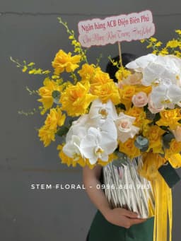 Góc 2 của Lẵng nắng vàng mây trắng — Những nhánh hoa vàng vươn cao quanh cụm hoa trắng ở giữa